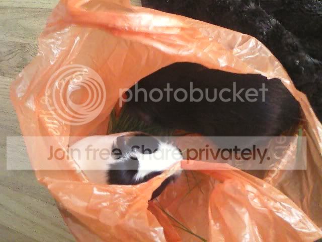 Photo117.jpg