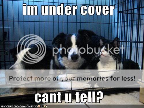  photo undercover.jpg