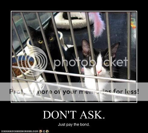  photo funny-pictures-cats-are-in-jail_zps1ulrnfix.jpg