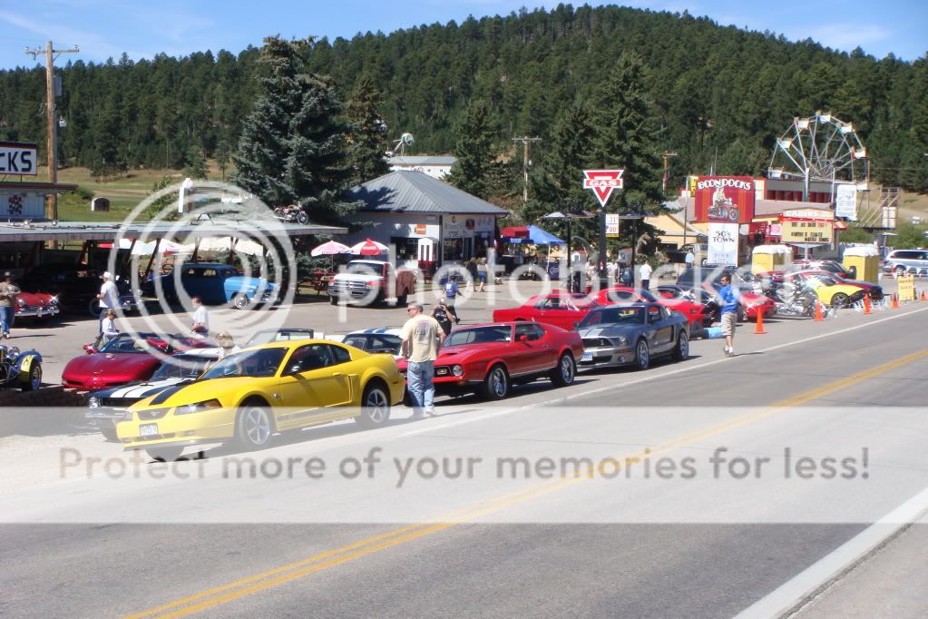 Ford mustang shelby prudome #1